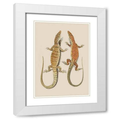 Antique Lizards I White Modern Wood Framed Art Print with Double Matting by Unknown