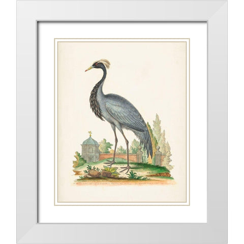 Antique Heron and Cranes II White Modern Wood Framed Art Print with Double Matting by Edwards, George