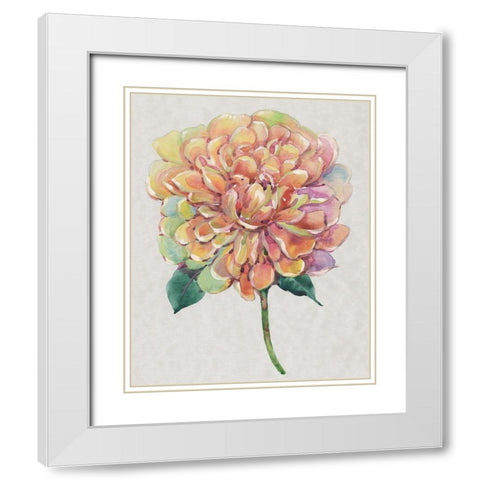 Multicolor Floral I White Modern Wood Framed Art Print with Double Matting by OToole, Tim