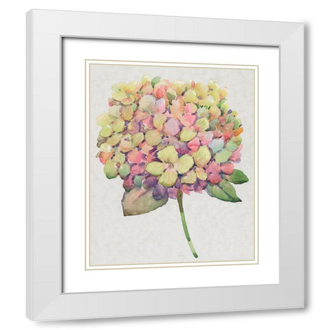 Multicolor Floral II White Modern Wood Framed Art Print with Double Matting by OToole, Tim