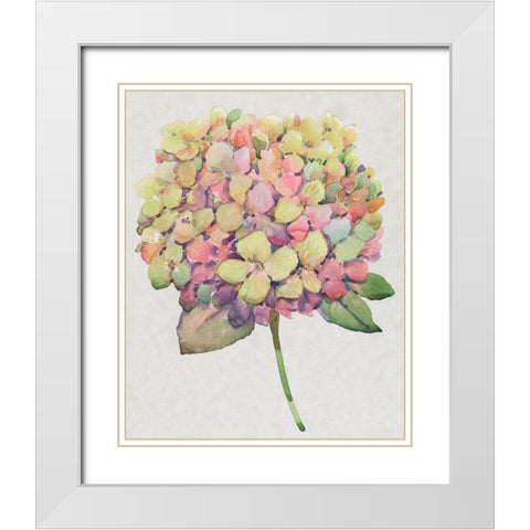 Multicolor Floral II White Modern Wood Framed Art Print with Double Matting by OToole, Tim