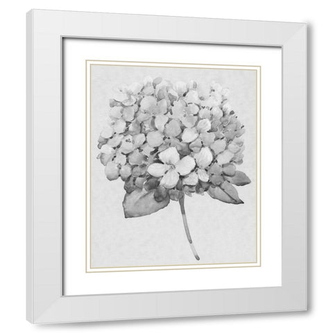 Silvertone Floral II White Modern Wood Framed Art Print with Double Matting by OToole, Tim