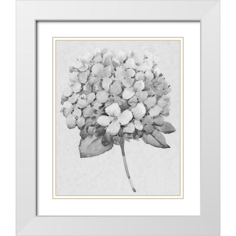 Silvertone Floral II White Modern Wood Framed Art Print with Double Matting by OToole, Tim