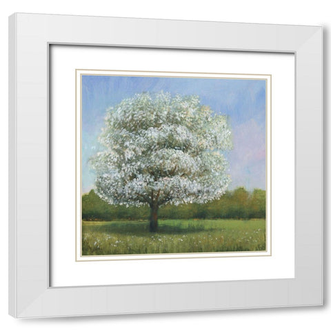 Spring Blossom Tree I White Modern Wood Framed Art Print with Double Matting by OToole, Tim