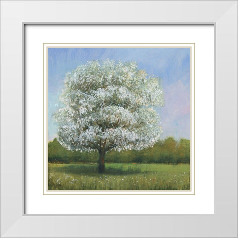 Spring Blossom Tree I White Modern Wood Framed Art Print with Double Matting by OToole, Tim