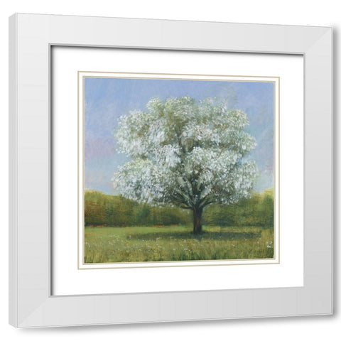 Spring Blossom Tree II White Modern Wood Framed Art Print with Double Matting by OToole, Tim