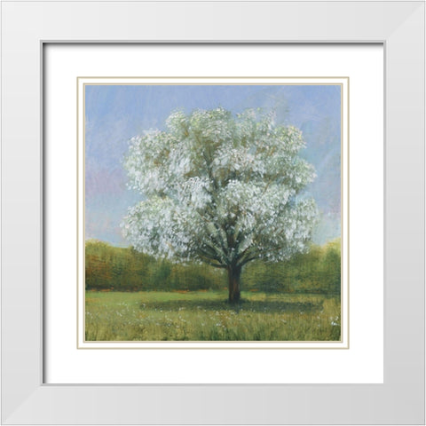 Spring Blossom Tree II White Modern Wood Framed Art Print with Double Matting by OToole, Tim