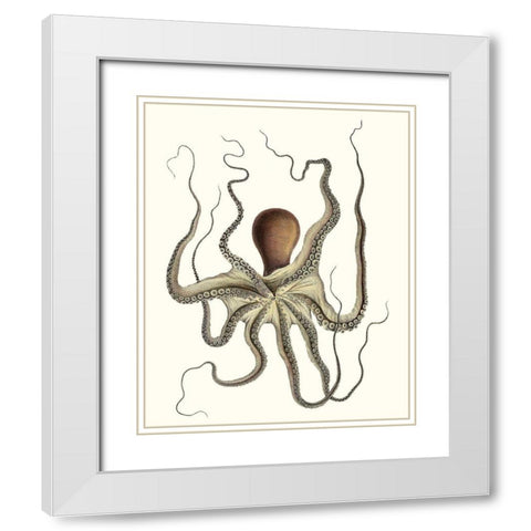 Antique Octopus Collection I White Modern Wood Framed Art Print with Double Matting by Unknown