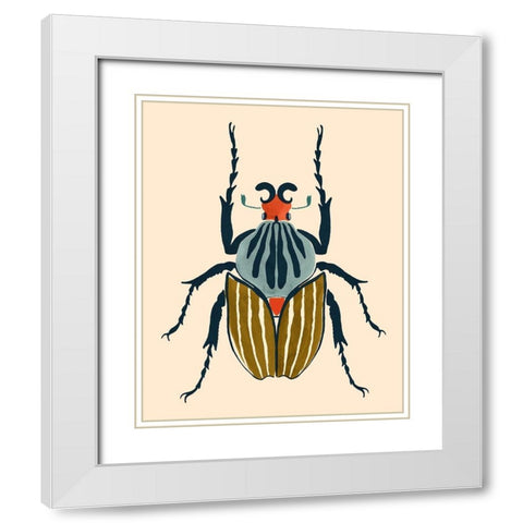 Beetle Bug I White Modern Wood Framed Art Print with Double Matting by Barnes, Victoria