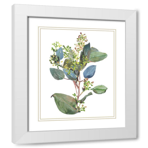 Seeded Eucalyptus I White Modern Wood Framed Art Print with Double Matting by Wang, Melissa