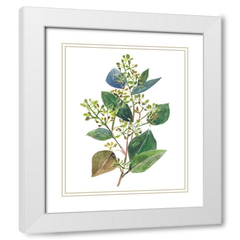 Seeded Eucalyptus II White Modern Wood Framed Art Print with Double Matting by Wang, Melissa