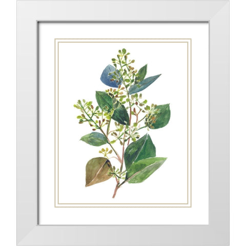 Seeded Eucalyptus II White Modern Wood Framed Art Print with Double Matting by Wang, Melissa