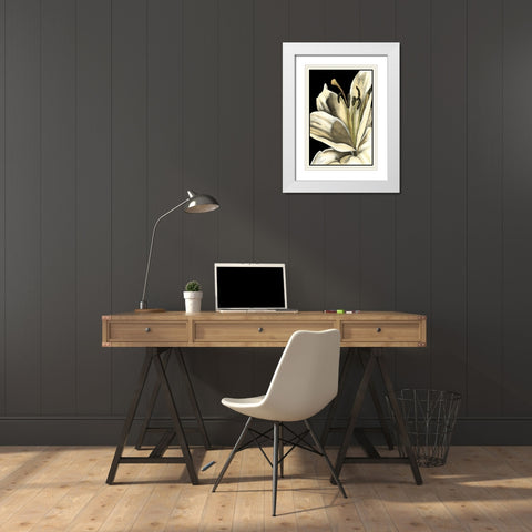 Graphic Lily III White Modern Wood Framed Art Print with Double Matting by Goldberger, Jennifer