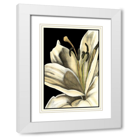 Graphic Lily III White Modern Wood Framed Art Print with Double Matting by Goldberger, Jennifer