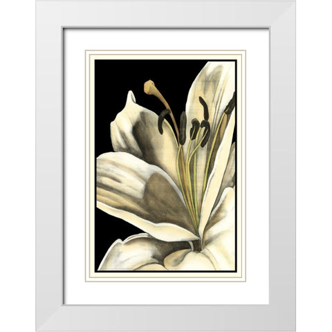 Graphic Lily III White Modern Wood Framed Art Print with Double Matting by Goldberger, Jennifer