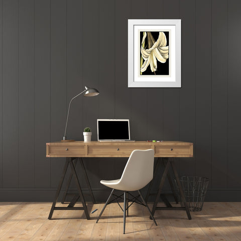 Graphic Lily IV White Modern Wood Framed Art Print with Double Matting by Goldberger, Jennifer