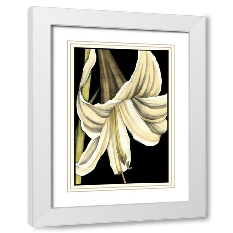 Graphic Lily IV White Modern Wood Framed Art Print with Double Matting by Goldberger, Jennifer