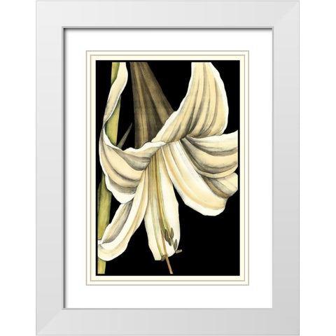 Graphic Lily IV White Modern Wood Framed Art Print with Double Matting by Goldberger, Jennifer