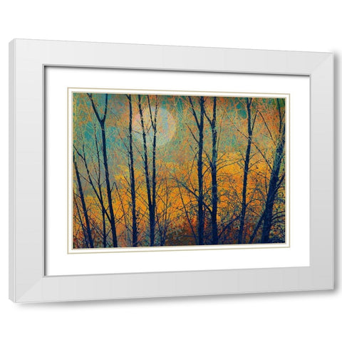Meadow Trees II White Modern Wood Framed Art Print with Double Matting by Vest, Chris