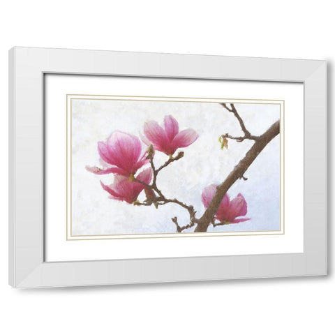 Painted Magnolias I White Modern Wood Framed Art Print with Double Matting by Vest, Chris