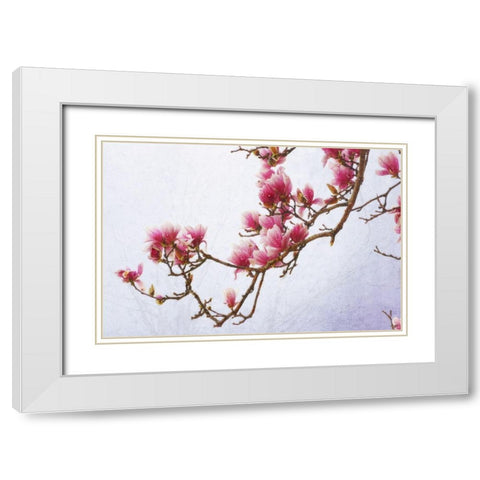 Painted Magnolias II White Modern Wood Framed Art Print with Double Matting by Vest, Chris