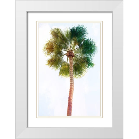 Palmetto I White Modern Wood Framed Art Print with Double Matting by Hartson-Weddle, Ryan