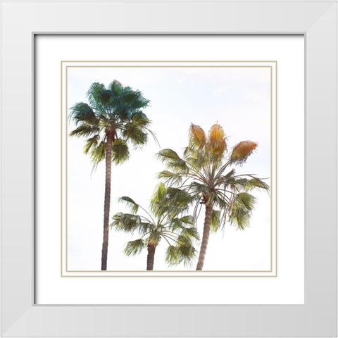 Palmetto III White Modern Wood Framed Art Print with Double Matting by Hartson-Weddle, Ryan