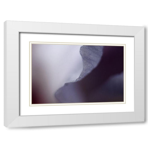 Haunting I White Modern Wood Framed Art Print with Double Matting by Stalus, Judy