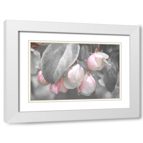 Gray Velvet I White Modern Wood Framed Art Print with Double Matting by Stalus, Judy
