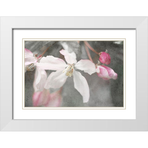 Gray Velvet II White Modern Wood Framed Art Print with Double Matting by Stalus, Judy