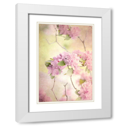 Reaching for the Sky I White Modern Wood Framed Art Print with Double Matting by Stalus, Judy