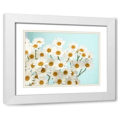 Daisy Love II White Modern Wood Framed Art Print with Double Matting by Stalus, Judy