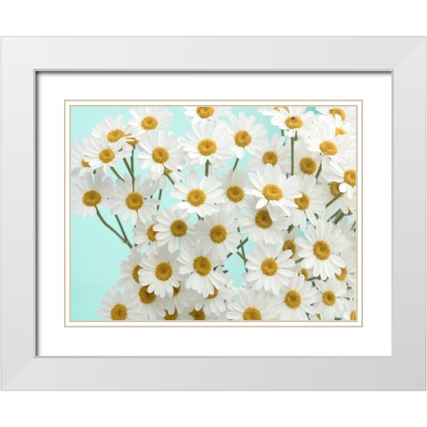 Daisy Love III White Modern Wood Framed Art Print with Double Matting by Stalus, Judy