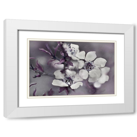 Tales from an Enchanted Glen I White Modern Wood Framed Art Print with Double Matting by Hunt, Gillian