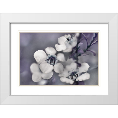 Tales from an Enchanted Glen II White Modern Wood Framed Art Print with Double Matting by Hunt, Gillian