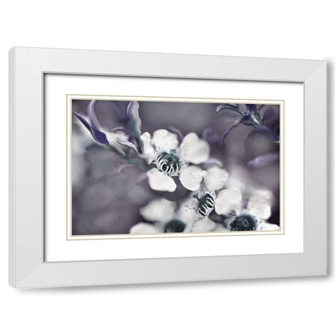 Tales from an Enchanted Glen III White Modern Wood Framed Art Print with Double Matting by Hunt, Gillian