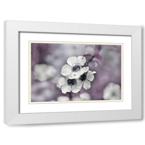 Tales from an Enchanted Glen IV White Modern Wood Framed Art Print with Double Matting by Hunt, Gillian