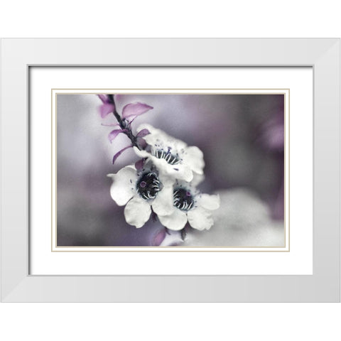 Tales from an Enchanted Glen V White Modern Wood Framed Art Print with Double Matting by Hunt, Gillian