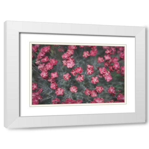 Natures Textures I White Modern Wood Framed Art Print with Double Matting by Stramel, Renee W.