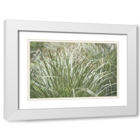 Natures Textures IV White Modern Wood Framed Art Print with Double Matting by Stramel, Renee W.