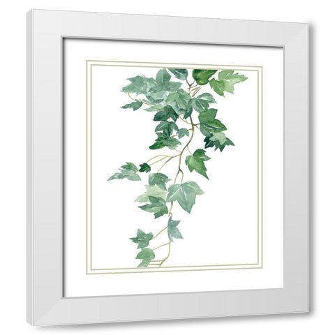 Branch Study II White Modern Wood Framed Art Print with Double Matting by Wang, Melissa