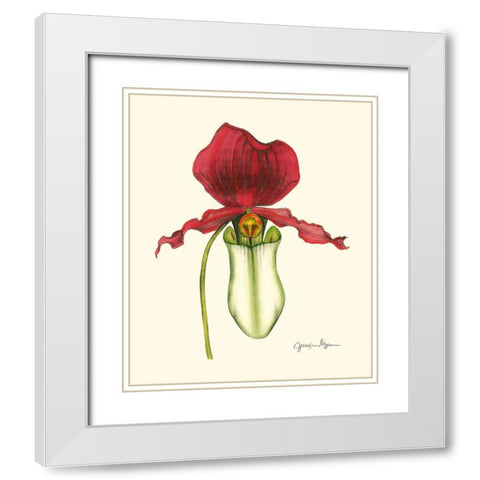 Majestic Orchid I White Modern Wood Framed Art Print with Double Matting by Goldberger, Jennifer