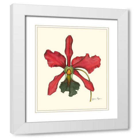 Majestic Orchid IV White Modern Wood Framed Art Print with Double Matting by Goldberger, Jennifer