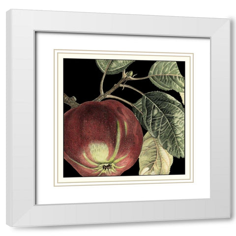 Dramatic Apple White Modern Wood Framed Art Print with Double Matting by Vision Studio