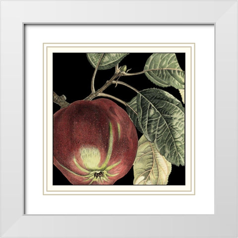 Dramatic Apple White Modern Wood Framed Art Print with Double Matting by Vision Studio