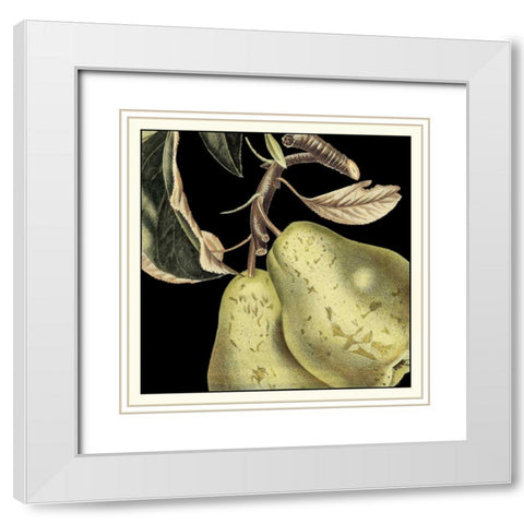 Dramatic Pear White Modern Wood Framed Art Print with Double Matting by Vision Studio