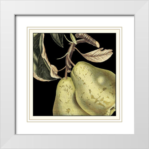 Dramatic Pear White Modern Wood Framed Art Print with Double Matting by Vision Studio