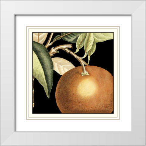 Dramatic Orange White Modern Wood Framed Art Print with Double Matting by Vision Studio