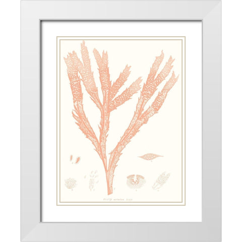 Vivid Coral Seaweed II White Modern Wood Framed Art Print with Double Matting by Vision Studio