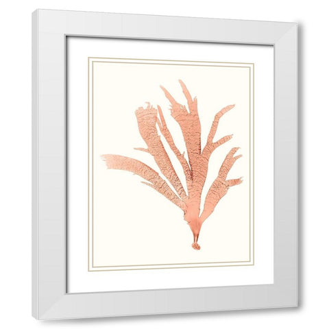 Vivid Coral Seaweed IV White Modern Wood Framed Art Print with Double Matting by Vision Studio